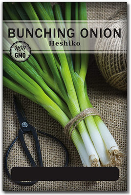 WILLVINE Heshiko Bunching Japanese Green Onion Seeds Seed(500 per packet)