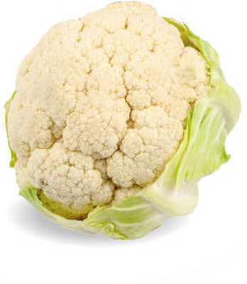 Simmel Difesa white cauliflower,gobhee seeds Seed(45 per packet)
