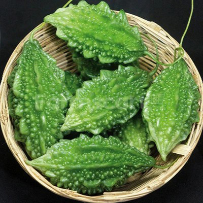 naturehils Bitter Gourd Seeds, F1 Organic Bitter Gourd Seeds for Gardening, Korola Seed(30 per packet)