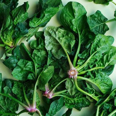 jkfarm Palak, Spinach Seed(100 per packet)