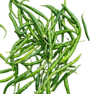 Quentova Green Chilli Indian हरी मिर्च-9C-US Seed(250 per packet)