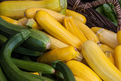Qualtivate ICRA-7A Zucchini Courgette Squash Summer Mix Seed(30 per packet)