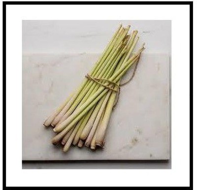 CYBEXIS KGF -71 - East Indian Lemon Grass - (250 Seeds) Seed(250 per packet)