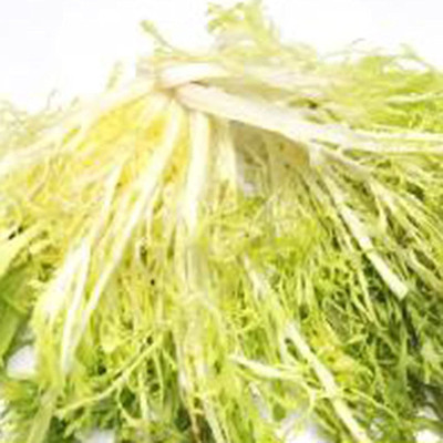 CYBEXIS Curled Frisee Lettuce Plants Seeds2000 Seeds Seed(2000 per packet)