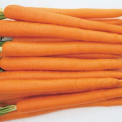 Qualtivate RES-4A Carrot Seeds, Tendersweet Seed(300 per packet)
