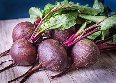 LPR CHUKANDAR,,BEETROOT Seed(20 per packet)