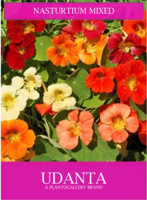 Udanta Nasturtium Mix Flowers Seeds For Your Beautiful Gardening Avg 10-15 Each Packet Seed(1 per packet)