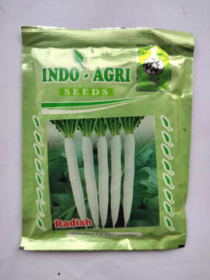 HYBRID 100g, sparkle White Sigment Redish f1 Redish seeds) fresh roots Seed(100 g)
