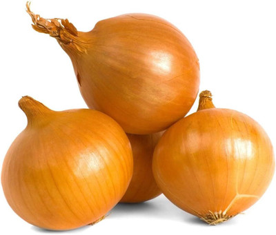 WILLVINE GBPUT -IX Sweet Spanish Yellow Utah Jumbo Onion [2.5g] Seed(1500 per packet)