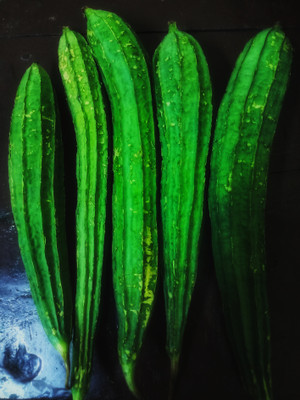 XOLDAA FI QUALITY RIDGE GOURD Seed(10 per packet)