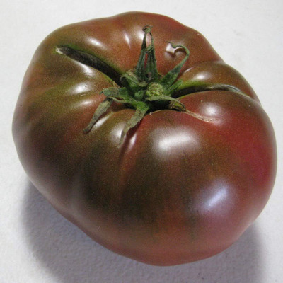 Biosnyg Weavers Black Brandywine Tomato Seeds For Hydrophonics - (4000 Seeds) Seed(4000 per packet)