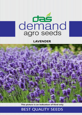 KRASHAK Lavender, Flower, Seeds Seed(2 per packet)
