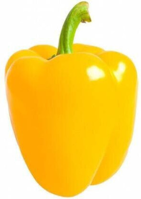 fixeded Yellow Capsicum vegetable Seed(50 per packet)