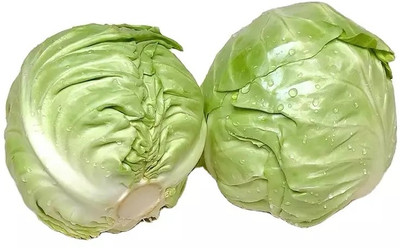 MYLAWN Round green Cabbage Seed(500 per packet)