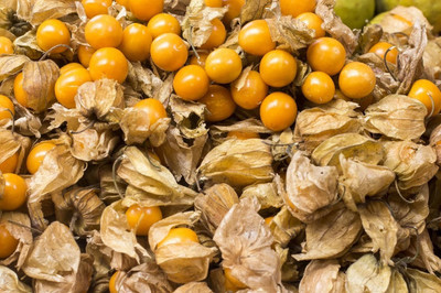 QALANDAR Golden Cape Gooseberry Seed(100 per packet)