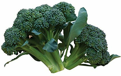CYBEXIS Sun King Broccoli2000 Seeds Seed(2000 per packet)