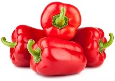 Quentova Capsicum Red Organic-6A-XLI Seed(50 per packet)