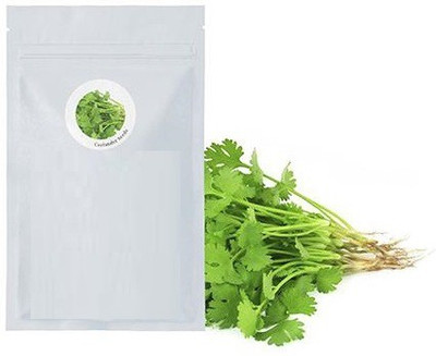 CYBEXIS Dhania1400 Seeds Seed(1400 per packet)