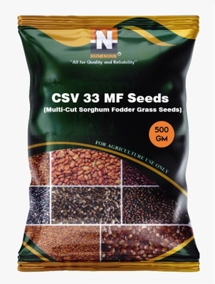 Numinous CSV 33 MF Multi-Cut Sorghum Fodder Grass Seed(500 g)