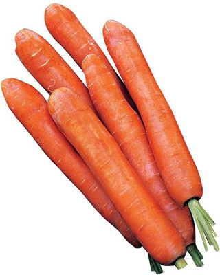 CYBEXIS Nantes Half Long Carrot Variety -500 Seeds Seed(500 per packet)