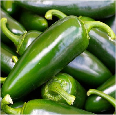 Biosnyg Hybrid Tam Jalapeno Pepper Seeds for Home Gardening-(2000 Seeds) Seed(2000 per packet)