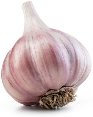Avysa Garlic Cloves Seed(80 per packet)