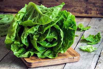 CYBEXIS LXI-22 - Parris Island Cos Romaine Lettuce - (1350 Seeds) Seed(1350 per packet)