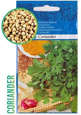 CYBEXIS Imported F1 Hybrid Coriander Seeds700 Seeds Seed(700 per packet)