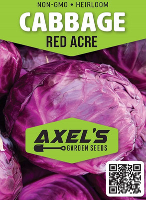 WILLVINE MAH -IV Red Acre Cabbage Seeds [10g] Seed(3000 per packet)