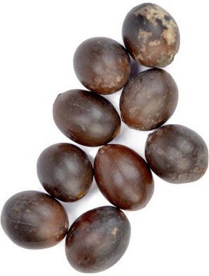 Shiv-Shakti Group LOTUS SEEDS Seed(10 per packet)