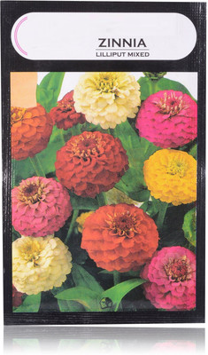 CYBEXIS Zinnia Lilliput Mixed Premium Seeds Seed(25 per packet)