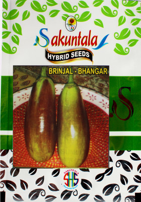 Sakuntala Hybrid Seeds Brinjal Seeds Hybrid Brinjal Seeds Brinjal Bhangar Seeds Deshi Brinjal Hybrid Seed(120 per packet)