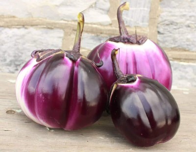 KNESSiN Barbarella Brinjal Seeds-[1gm] Seed(250 per packet)