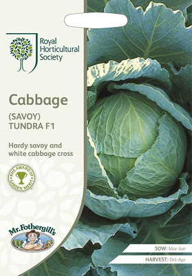 CYBEXIS Cabbage (Savoy) Tundra F12000 Seeds Seed(2000 per packet)