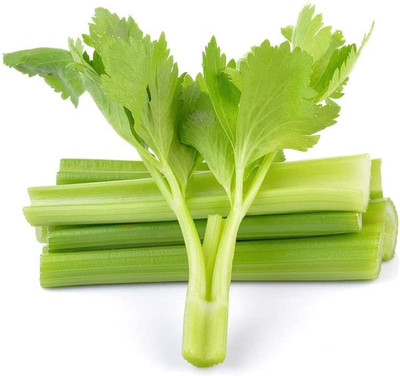 KNESSiN Celery Seed(1250 per packet)