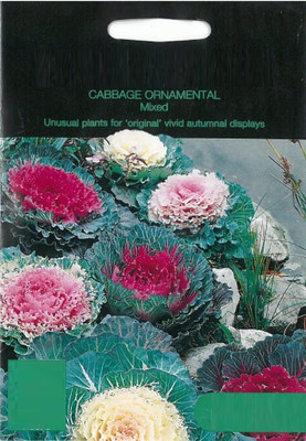 CYBEXIS World Botanics Ornamental Cabbage mixed Seed(50 per packet)