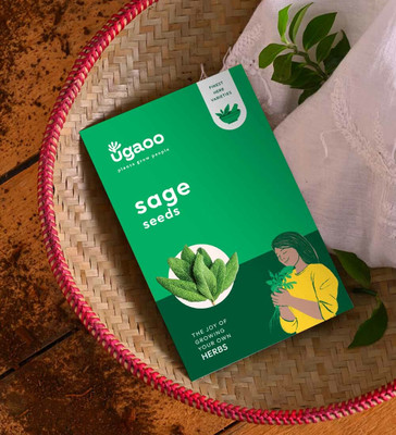 UGAOO Sage Herb Seed(100 per packet)