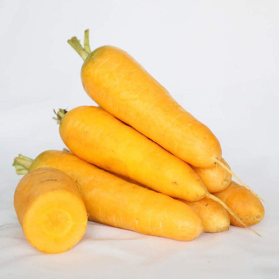 CYBEXIS Fast Germination Yellow Carrot Seeds1000 Seeds Seed(1000 per packet)