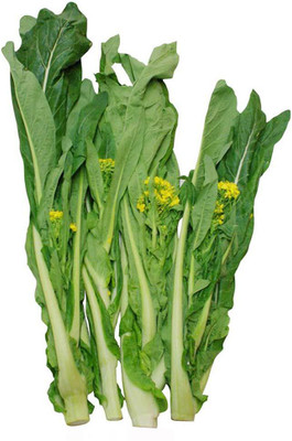 DIVINE CABBAGE Seed(100 per packet)