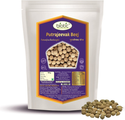 biotic Putrajeevak Beej / Putrajivak Seed (Putranjiva Roxburghii) - 100g Seed(100 per packet)