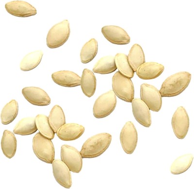 KNESSiN XII-30 Pumpkin Seed(50 per packet)