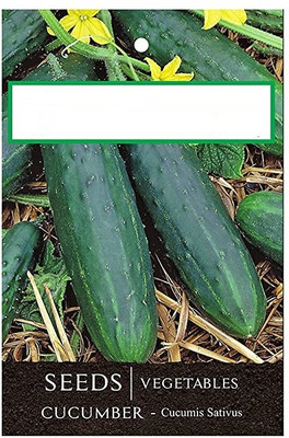 CYBEXIS Imported Kheera/Cucumber Hybrid Seeds2000 Seeds Seed(2000 per packet)
