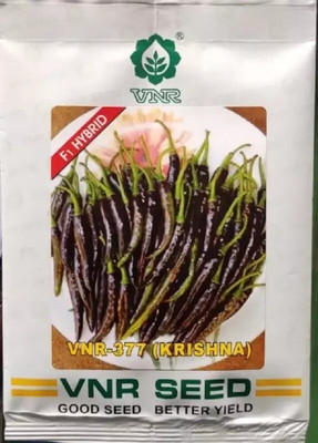 the green dotcom VNR Chilli Seed (10 g) Seed(105 per packet)