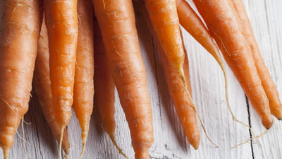 SeedHaven Carrot fresh organic seeds Seed(120 per packet)