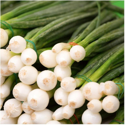 KNESSiN Heirloom Evergreen White Onion Vegetable Seeds For Planting-(1200 Seeds) Seed(1200 per packet)