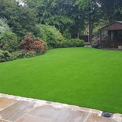 naturehils Maxican Carpet Grass Seeds for PlayGround/Garden/Park, Lawn Grass Seed(16000 per packet)