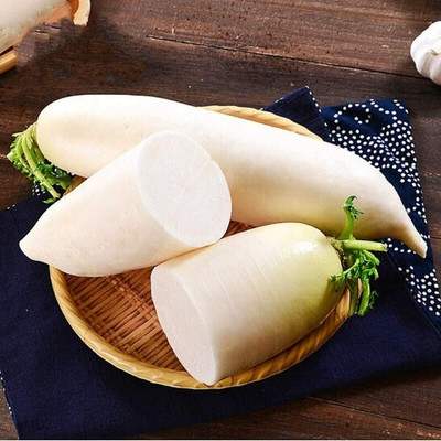 CYBEXIS White Radish Seeds Fresh Hardy Heirloom600 Seeds Seed(600 per packet)
