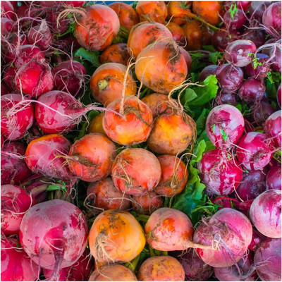 WILLVINE Non-GMO Hybrid Rainbow Beetroot Mixture (Beta vulgaris) -500 Seeds Seed(500 per packet)