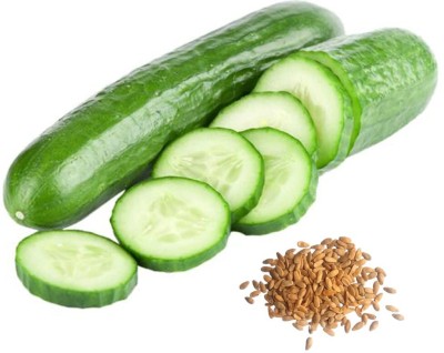 GROWN Cucumber Imported Kheera Seed - 240 Seed(240 per packet)