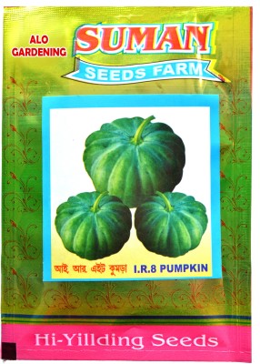 AloGardening HYBRID F1 PREMIUM QUALITY Pumpkin Vegetables Seed 5gm Seed(5 g)